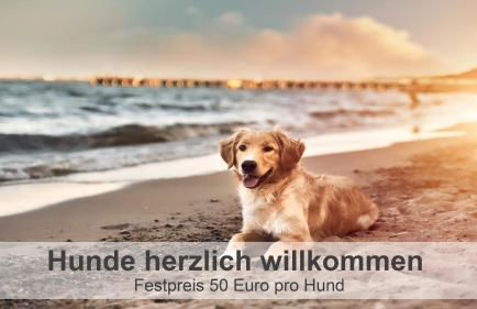 Gulfhof-Ferien Briese - Foto 12