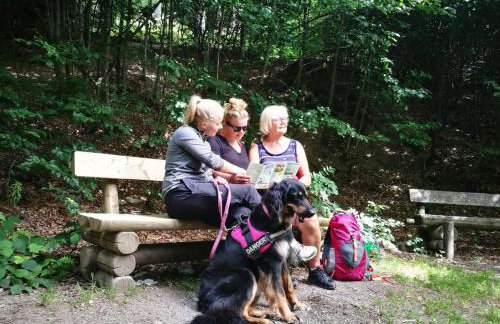 Berg- und Seeblick - Foto 43