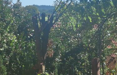 Beas Ferienglück - Foto 13