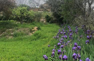 Villa Jardines de Guara - Foto 49