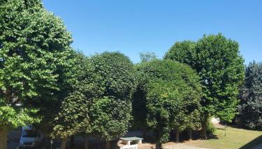 Appartement lumineux à 20mn de Paris en RER A - Foto 4