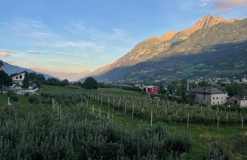 Villa Maffei - Foto 24