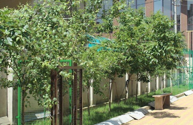 Aparthotel Chetyre sezona - Photo 13