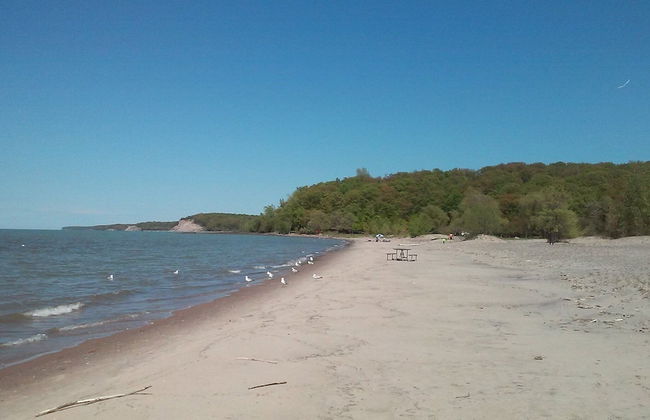 Finger Lakes Treehouse & Spa - Foto 70