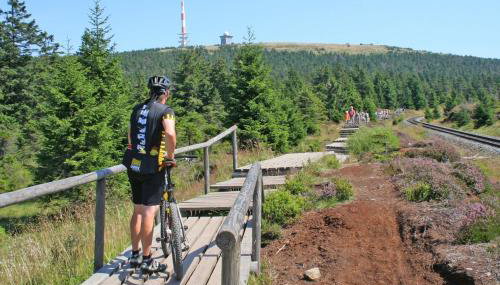 HIRSCH Gretel Ferienhaus - Garten mit Grill - Wald - Foto 5
