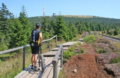 HIRSCH Hänsel Ferienhaus Garten mit Bergblick - Grill -Wald - Foto 36