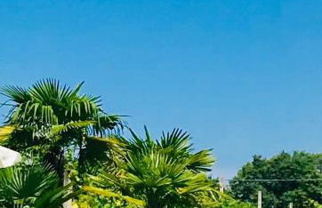 Residenza Eden - Foto 28