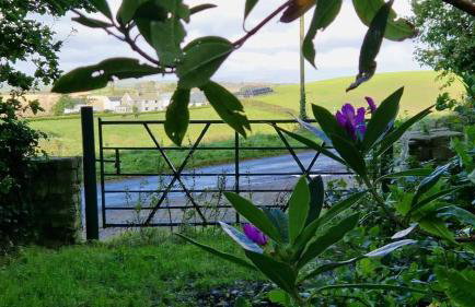 Bramble Cottage, hidden gem in Comber near Belfast - Foto 66