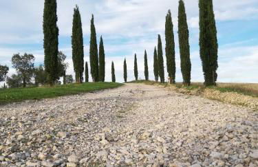 Podere Sant'Antonio - Foto 10