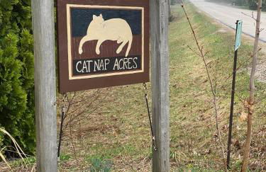 Cat Nap Acres by Simple Life Rentals - Foto 32