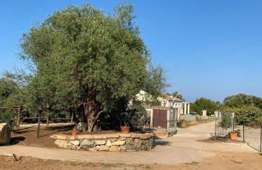 SARDEGNA "RI-ALE" a DUE PASSI DAL MARE BARI SARDO - OGLIASTRA - COD IUN Q8596 - Foto 47