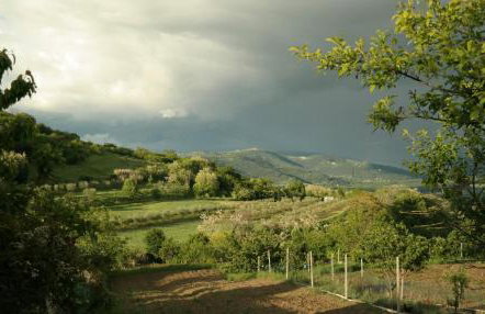 Terra Mirna - Urlaub für die Sinne - Foto 60