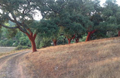 Cercado Forero - Foto 41