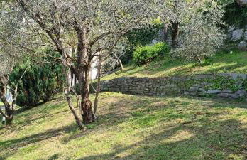 Villa gli Ulivi Chalten Apartment - Foto 4