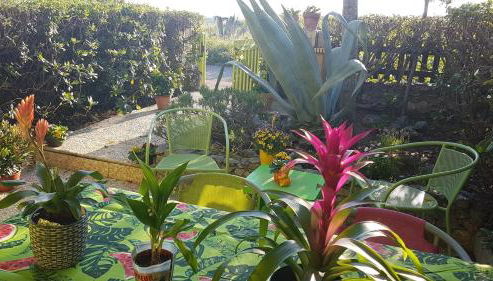 BAMBOU NATURE - Foto 4