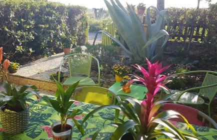 BAMBOU NATURE - Foto 4