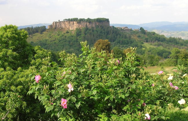 Belvilla by OYO Adelio - Photo 40