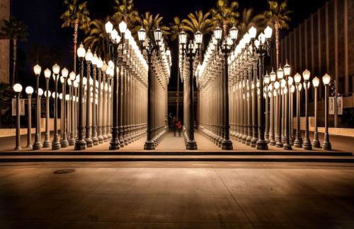 Mid Century With Pool GYM and Parking 10min to Cedars - Photo 48