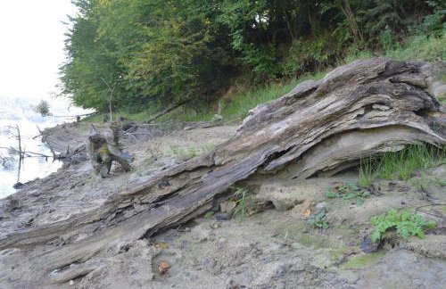 Domki Pod Lasem - Photo 29