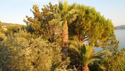 Villa Electra - Photo 3