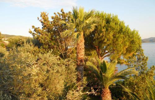 Villa Electra - Foto 3