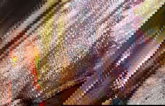 Agriturismo Yes Boss - Foto 20