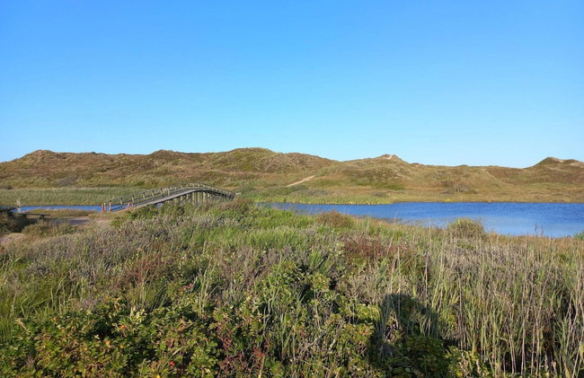 Holiday Home in Nørre Nebel - Photo 49