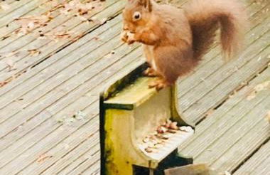 Scottish Highland Cottage Tyndrum Upper Station - Foto 20