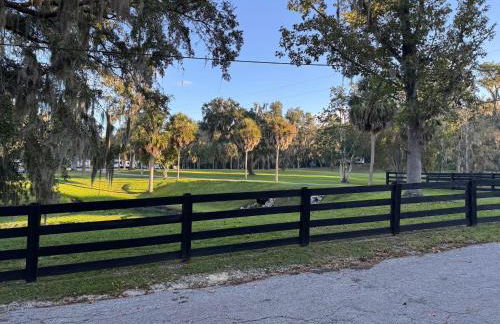 St Johns River Cabin - Foto 7