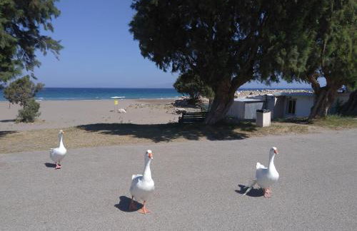 Arch Villa - Foto 29