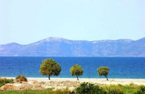 Villa Anastasia - Foto 22