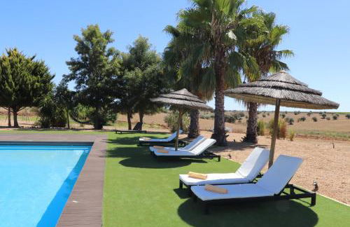 Monte da Figueira Brava - Foto 4