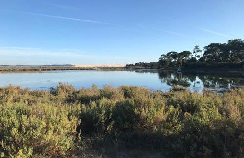 Cocon entre presqu'île du Cap Ferret et plages océanes - terrasse - 1 vélo gratuit - Foto 75