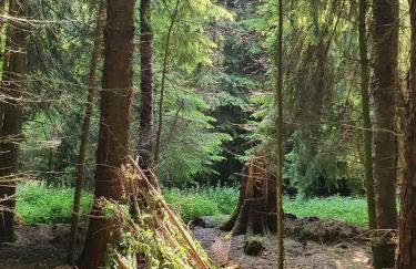 Fairway View Cottage - Foto 27