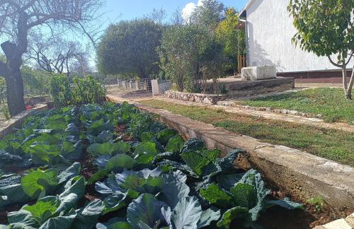 Holiday Home Višnja with Pool - Photo 49