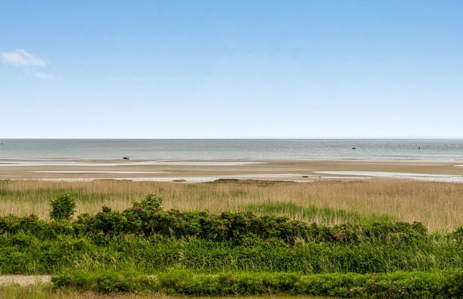 "Elpida" - 100m from the sea - Foto 13