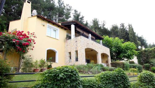 Six Steps From The Forest - Foto 3