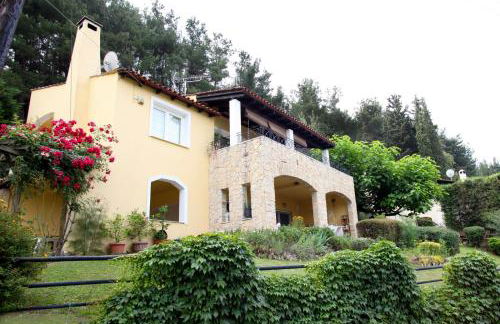 Six Steps From The Forest - Photo 3