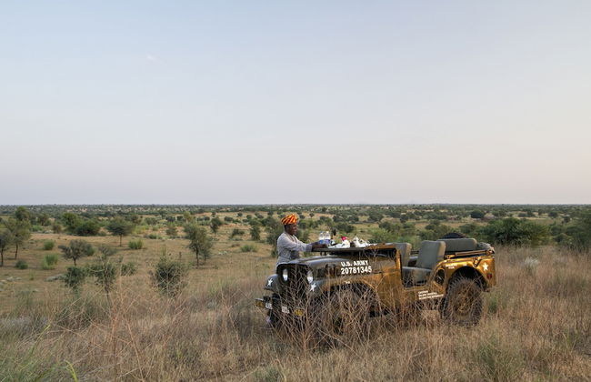 Alsisar Mahal - A Heritage Hotel - Foto 30