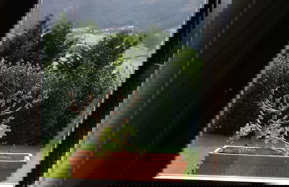 Casa Rural Zelaikoa - Foto 16