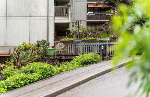 Ribeiro Cachoeira - Foto 24