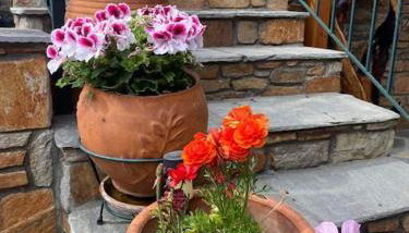 IslandTime Studio1 - Foto 4