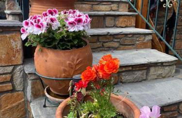 IslandTime Studio1 - Photo 4