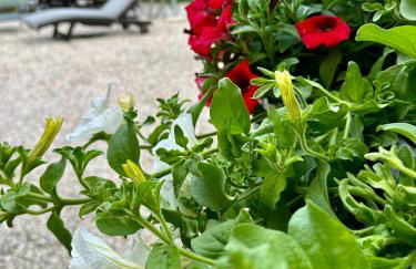 Villa "Corte de' Baldi" - Foto 12