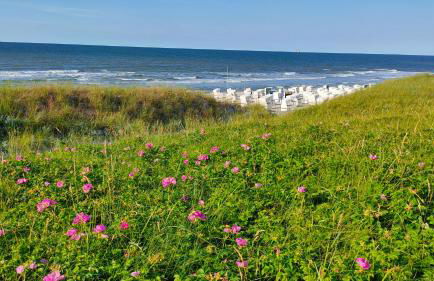 Hund im Glück - Foto 24