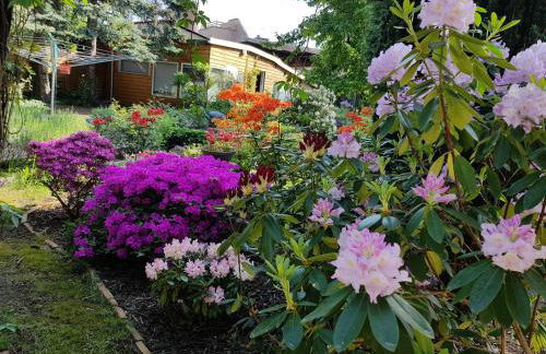 Ferienhaus Balkenkunst - Foto 38