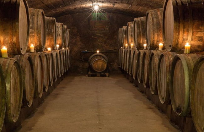 Anton Zimmermann Winery - Photo 16