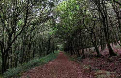 Súper apartamento Santiago - Photo 19