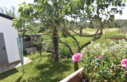 Apartments with parking space Sveti Ivan, Umag - 22472 - Foto 6