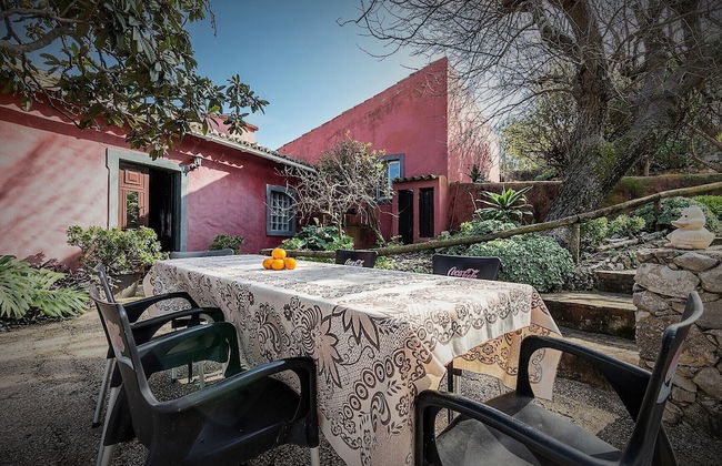 Casa Amoreira - Quinta Amoreira - Foto 54